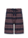 Cross BORDER　Shorts